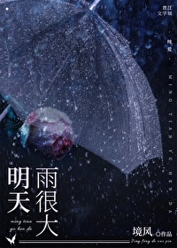 明天雨很大txt网盘