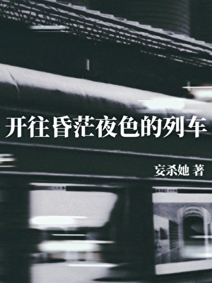 开往昏茫夜色的列车