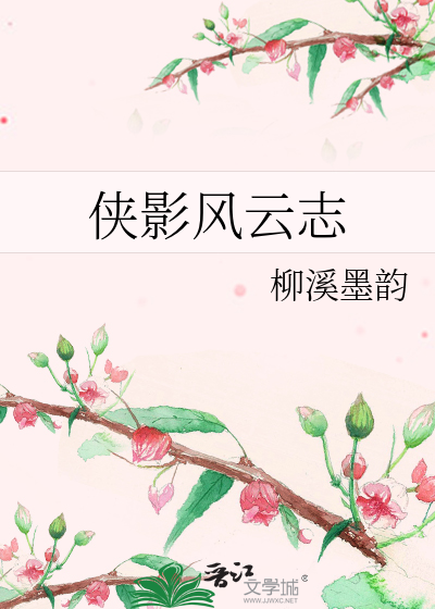 侠影风云