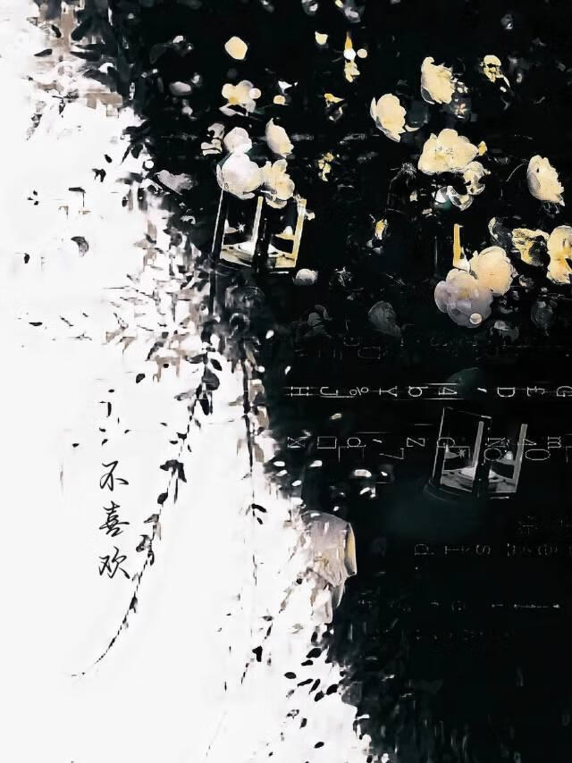 不喜欢用英语怎么说