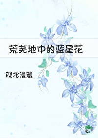 荒芜地中的蓝星花