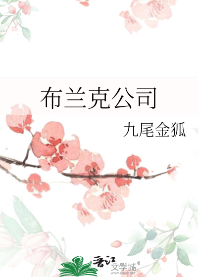 布兰克公司