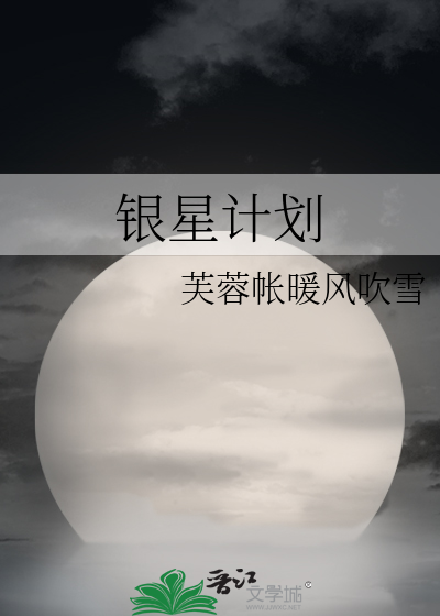 银星软件