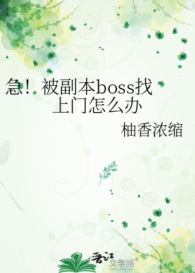 刷副本打boss