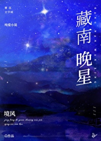 藏南晚星by境风免费阅读无广告