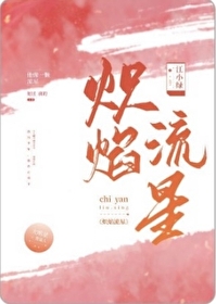 炽焰流星TXT百度云资源