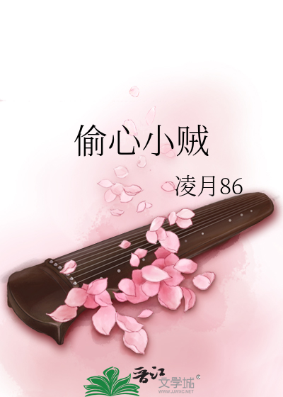 偷心小贼的小说