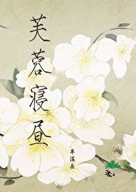 芙蓉寝昼小说好看吗