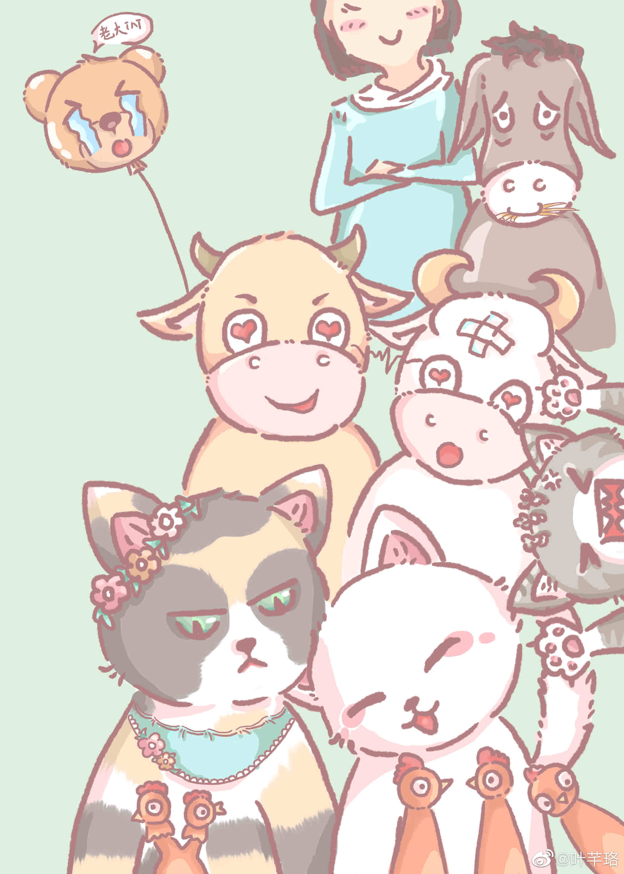 玳瑁猫市场价