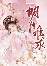 明月难求小说免费阅读