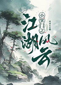 小掌门之江湖风云攻略大全