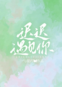 小说迟早遇见你
