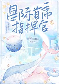 星际指挥官是什么