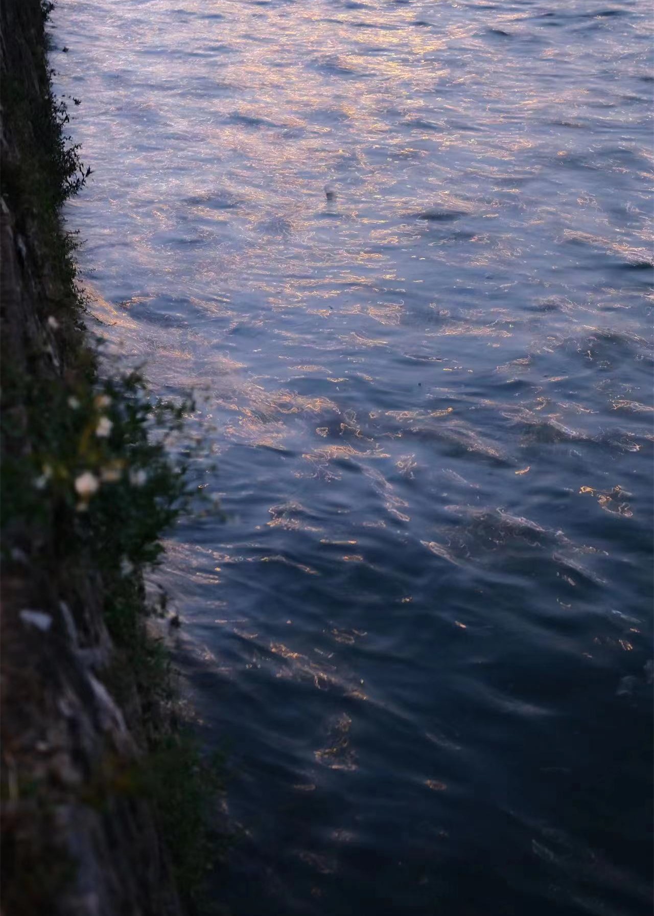 富江暗杀篇