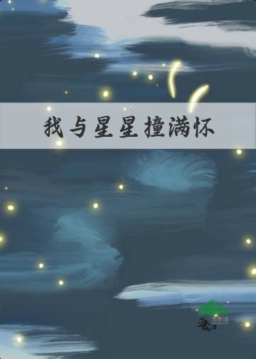 我与星河小说