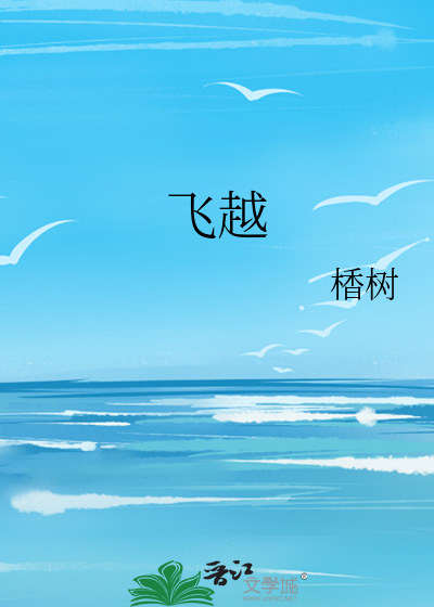 飞越的意思