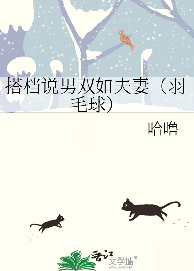 羽毛球男双和女双