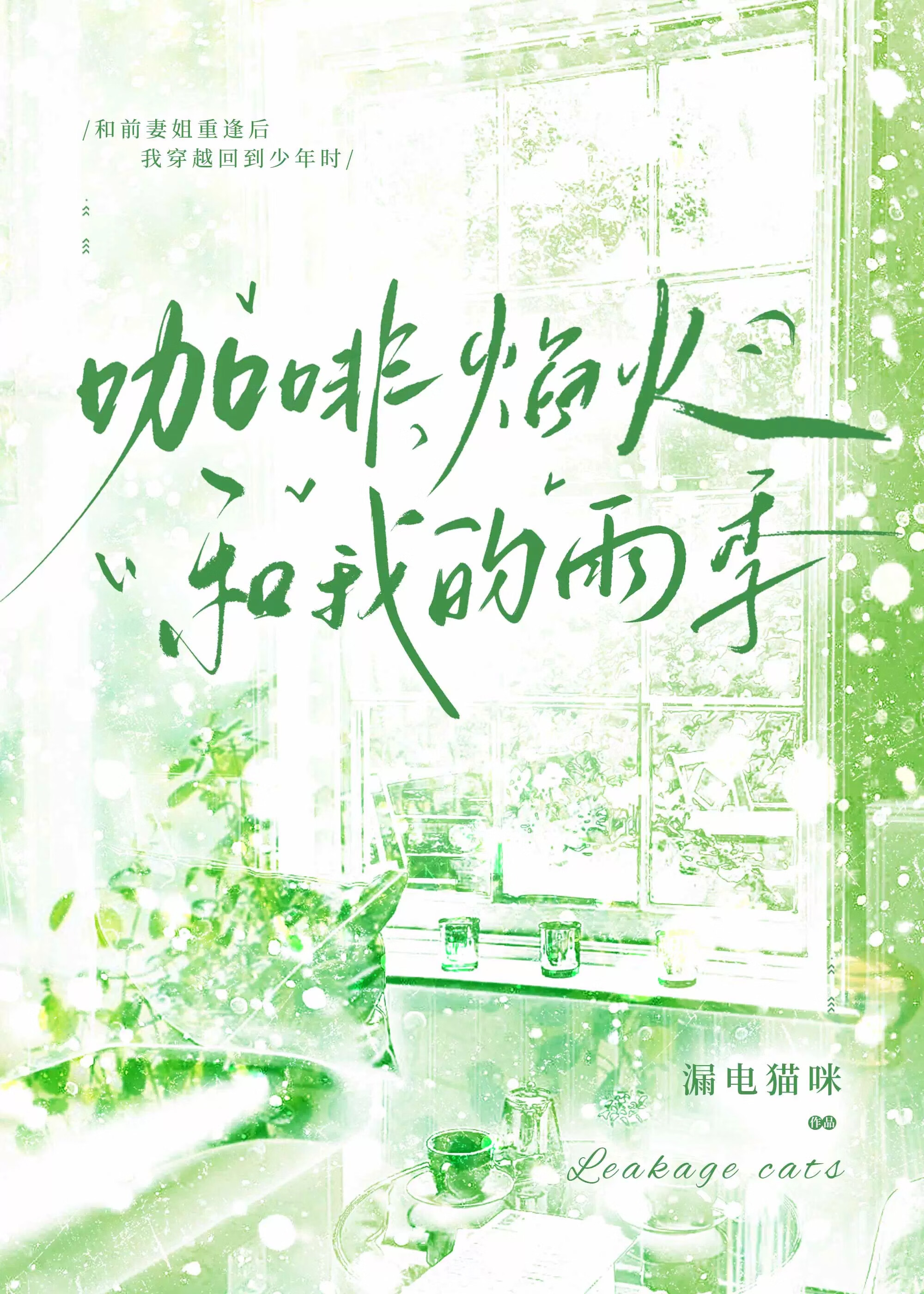 小说和前妻复婚