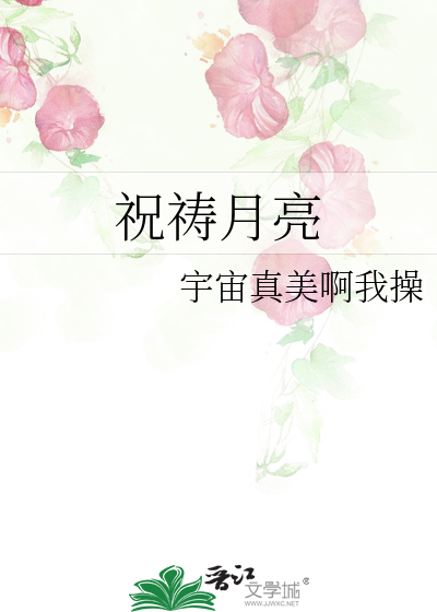 祝祷月亮 废文