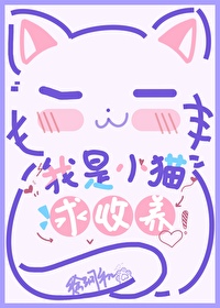 我要养小猫