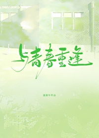 青春重逢小说