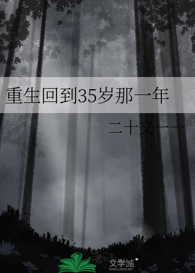 重生回到35岁那一年的小说