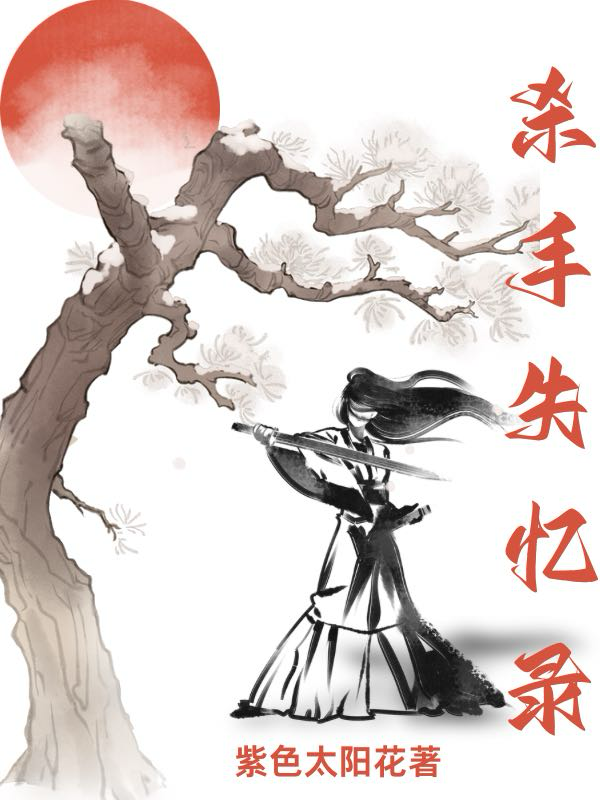 从杀手变歌手 小说