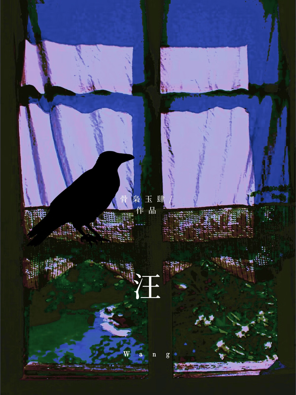白脖子乌鸦