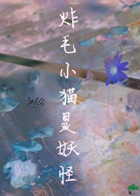 炸毛的猫动漫图片