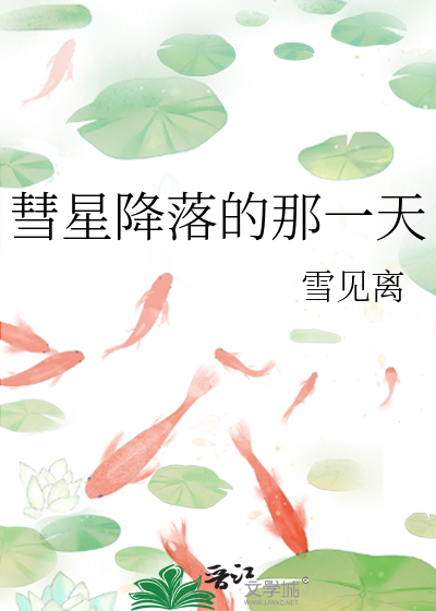 彗星划过的那一天