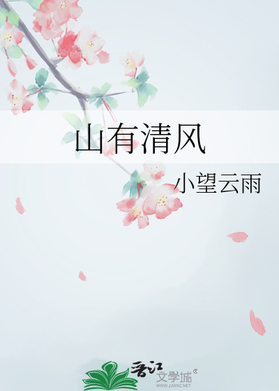 山有清风是为岚