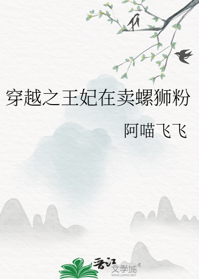 穿越之王妃小说