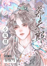 小凤凰原耽