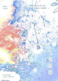 雪夜新婚免费阅读