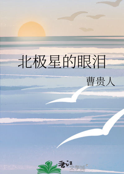 北极星的眼泪是哪个电视剧的歌
