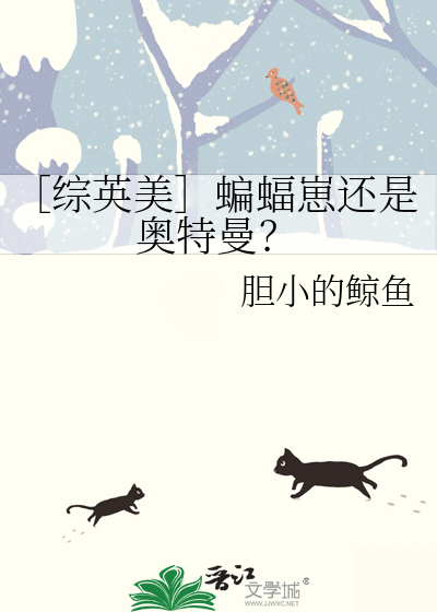 综英美奥特曼小说