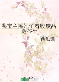 鉴宝直播间女主