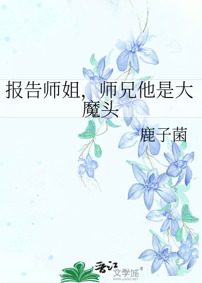 电视剧报告师父