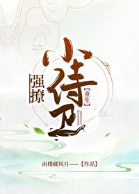 我的侍卫大人(重生)TXT