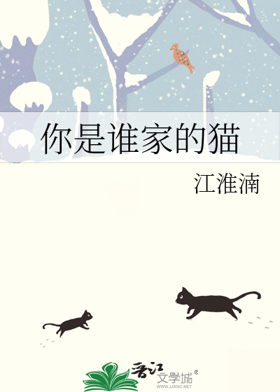 猫咪你是谁