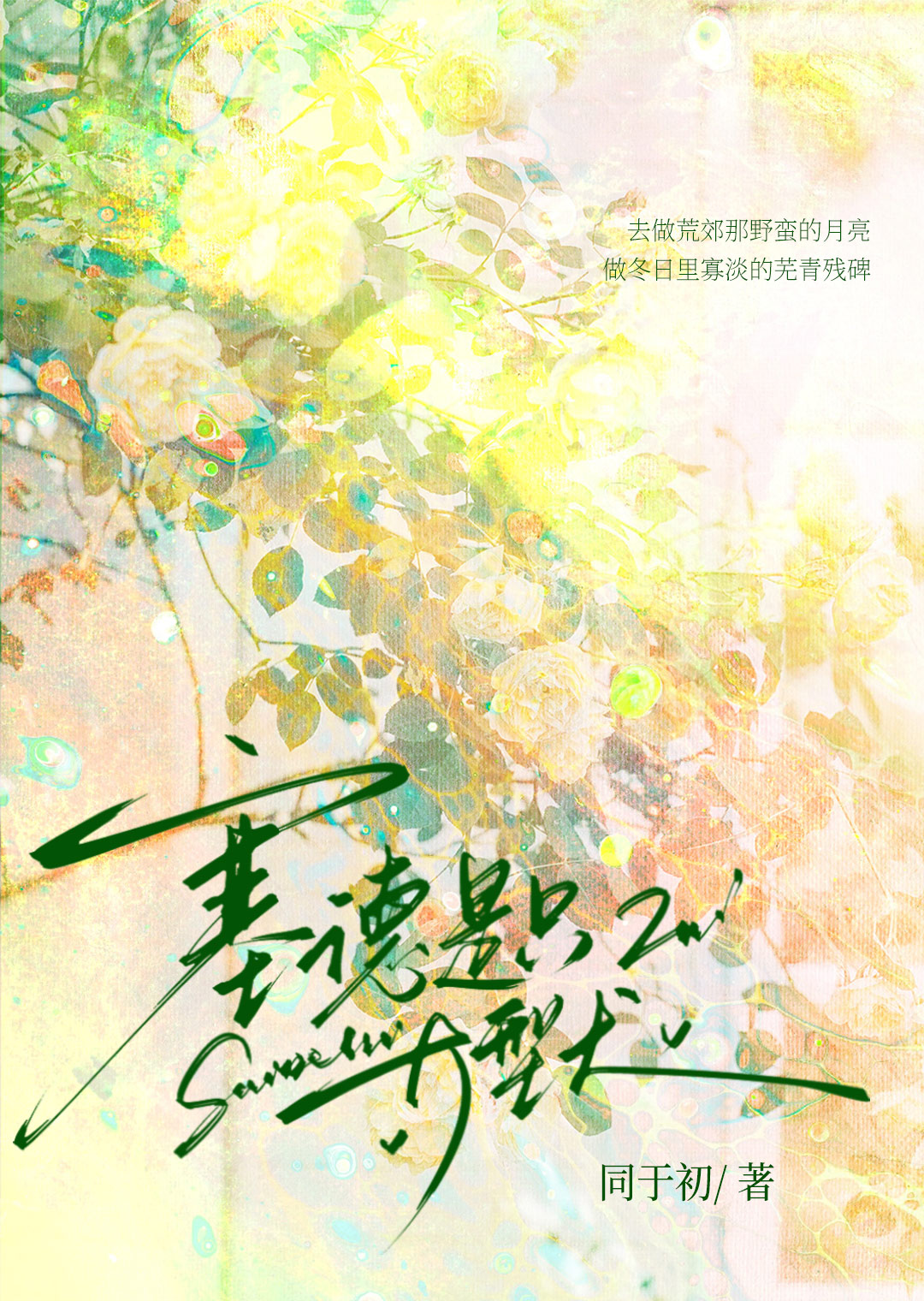 hp塞德里克bg甜文推荐