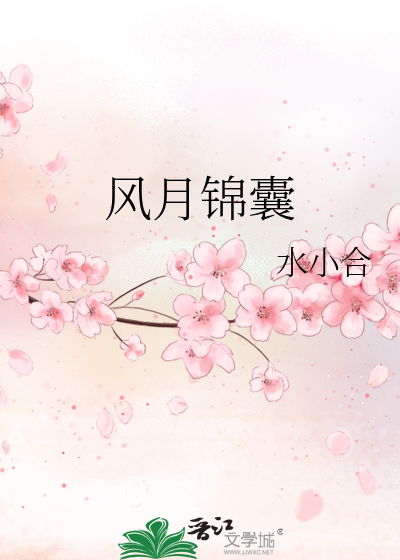 风月锦囊小说TXT下载百度云