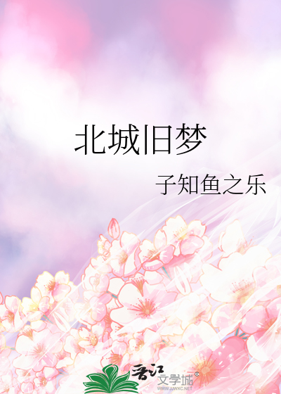 北城旧巷南风轻起什么意思