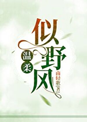 《温柔似野风》作者:南轻歌