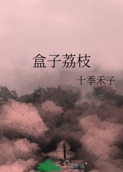 荔枝包装