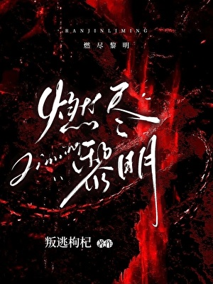 燃尽黎明元旦晚会节目